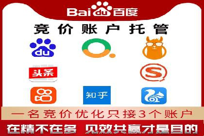 SEM代理服务：案例对比，效果哪家更胜一筹